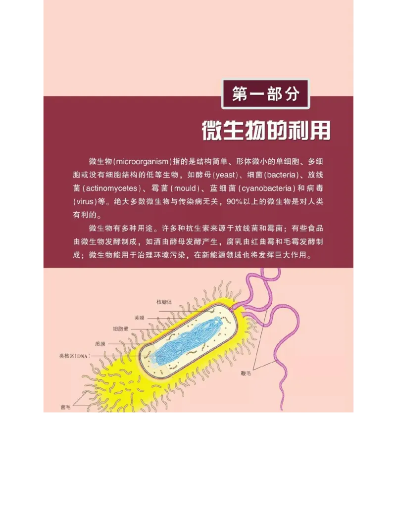 浙科版高中生物选修1《生物技术实践》电子课本_4-教培资料-26年最新资料-同步更新_初中高中教资_03科三专项（进去保存报考的学科即可）_112025高中科目（全）电子教材