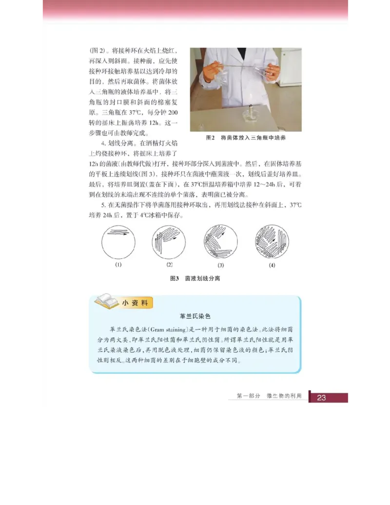 浙科版高中生物选修1《生物技术实践》电子课本_4-教培资料-26年最新资料-同步更新_初中高中教资_03科三专项（进去保存报考的学科即可）_112025高中科目（全）电子教材