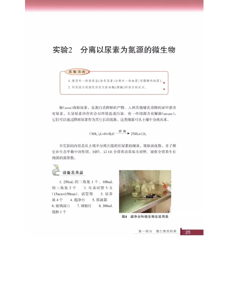 浙科版高中生物选修1《生物技术实践》电子课本_4-教培资料-26年最新资料-同步更新_初中高中教资_03科三专项（进去保存报考的学科即可）_112025高中科目（全）电子教材