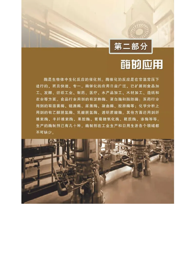 浙科版高中生物选修1《生物技术实践》电子课本_4-教培资料-26年最新资料-同步更新_初中高中教资_03科三专项（进去保存报考的学科即可）_112025高中科目（全）电子教材