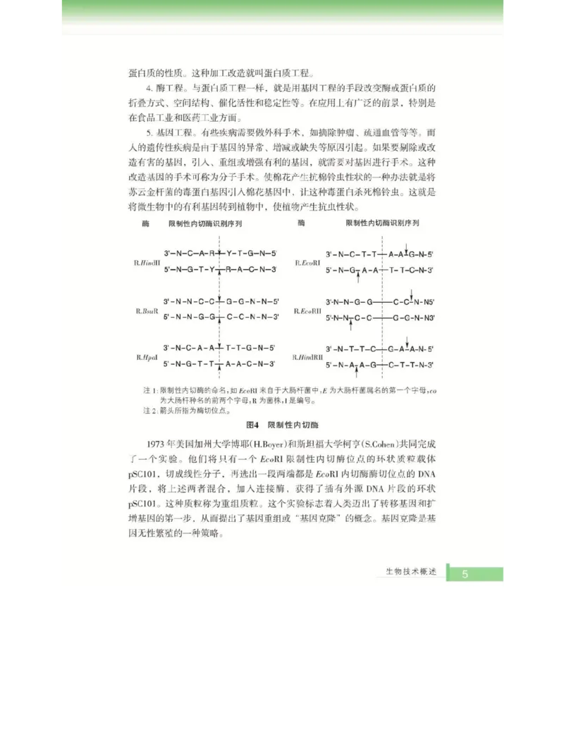 浙科版高中生物选修1《生物技术实践》电子课本_4-教培资料-26年最新资料-同步更新_初中高中教资_03科三专项（进去保存报考的学科即可）_112025高中科目（全）电子教材
