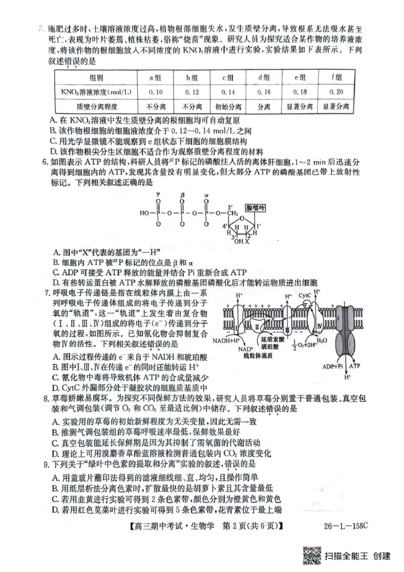 生物试卷(26-L-158C)_251101黑龙江省齐齐哈尔市普通高中联谊学校2025-2026学年高三上学期期中考试（全科）