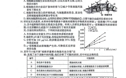 生物试卷(26-L-158C)_251101黑龙江省齐齐哈尔市普通高中联谊学校2025-2026学年高三上学期期中考试（全科）