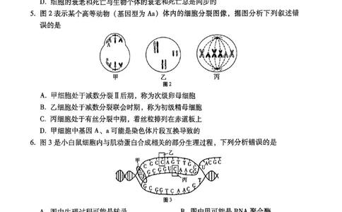 2024~2025学年高二年级教学质量监测卷（八）生物_2025年6月_250628云南省云南师范大学附属中学2024~2025学年高二年级教学质量监测卷（八）（全科）