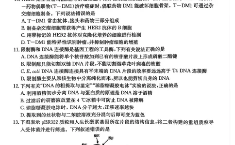 安徽省蚌埠市固镇县毛钽厂实验中学2024-2025学年高二下学期6月月考生物试题（含答案）_2025年6月_250629安徽省毛钽厂实验中学2024-2025学年高二下学期6月月考（全科）