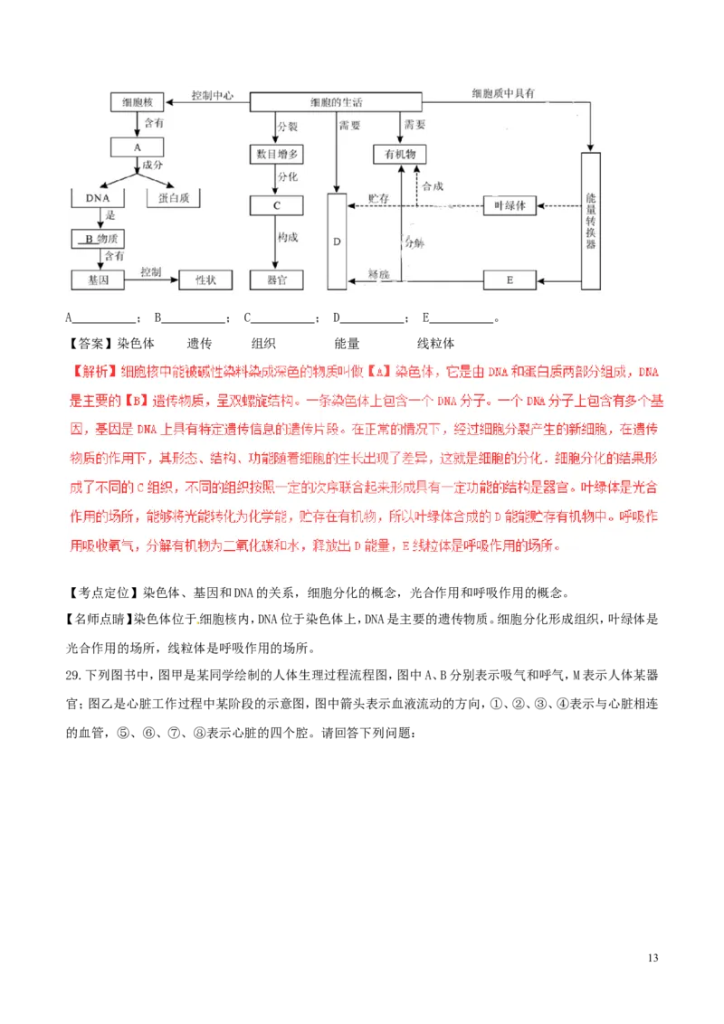 湖南省邵阳市2017年中考生物真题试题（含解析）_中考真题_8.生物中考真题2015-2024年_2017年全国中考生物124份