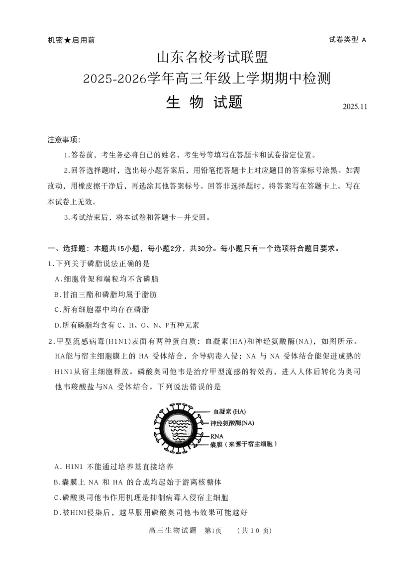 山东省名校联盟2025-2026学年高三上学期11月期中考试生物试题_251112山东省名校联盟2025-2026学年高三上学期11月期中（济南淄博期中）（全科）