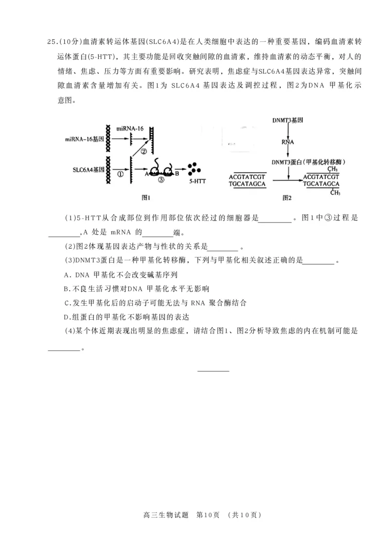山东省名校联盟2025-2026学年高三上学期11月期中考试生物试题_251112山东省名校联盟2025-2026学年高三上学期11月期中（济南淄博期中）（全科）