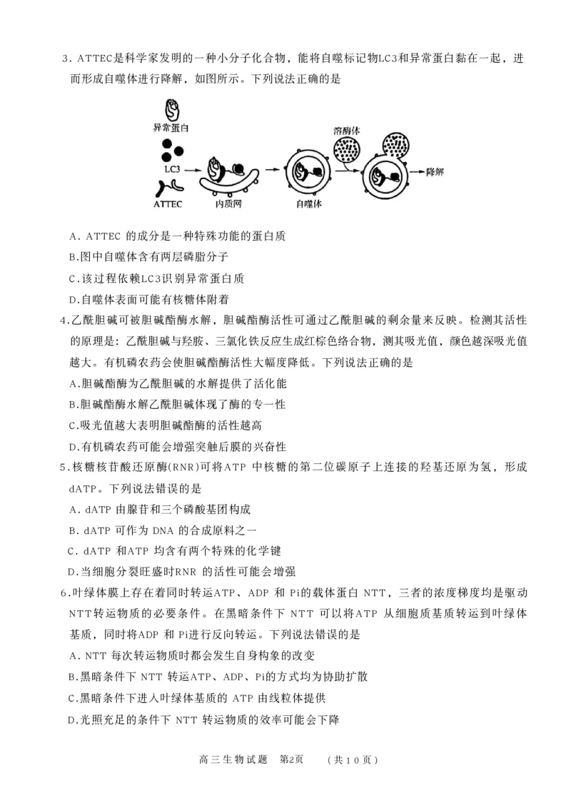 山东省名校联盟2025-2026学年高三上学期11月期中考试生物试题_251112山东省名校联盟2025-2026学年高三上学期11月期中（济南淄博期中）（全科）