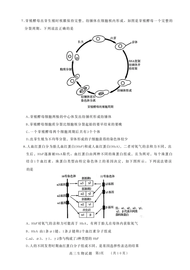 山东省名校联盟2025-2026学年高三上学期11月期中考试生物试题_251112山东省名校联盟2025-2026学年高三上学期11月期中（济南淄博期中）（全科）