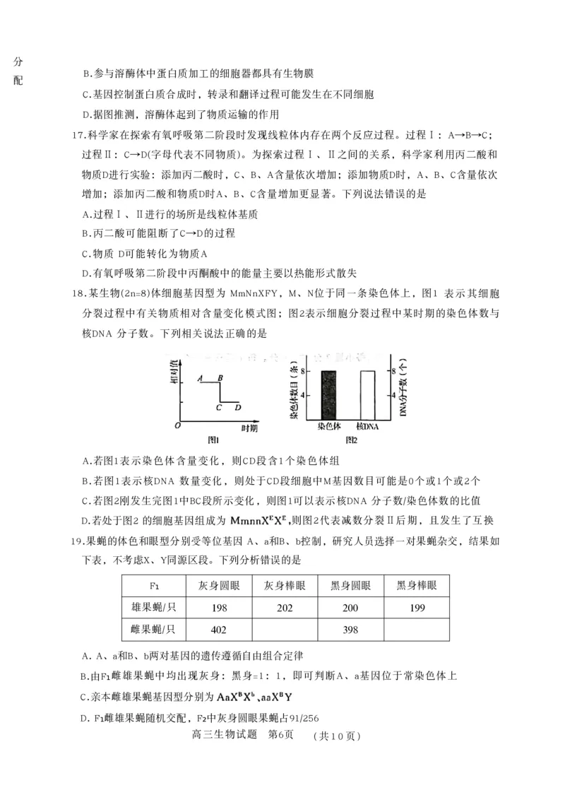 山东省名校联盟2025-2026学年高三上学期11月期中考试生物试题_251112山东省名校联盟2025-2026学年高三上学期11月期中（济南淄博期中）（全科）