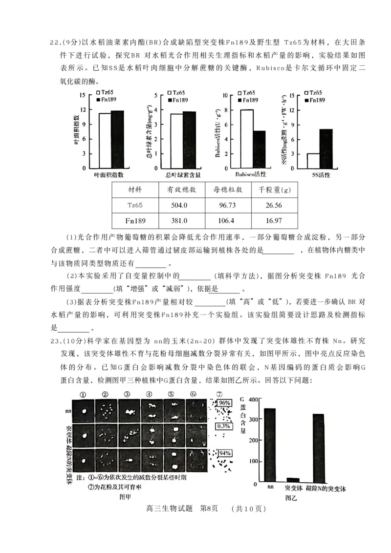 山东省名校联盟2025-2026学年高三上学期11月期中考试生物试题_251112山东省名校联盟2025-2026学年高三上学期11月期中（济南淄博期中）（全科）