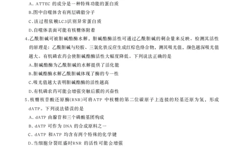 山东省名校联盟2025-2026学年高三上学期11月期中考试生物试题_251112山东省名校联盟2025-2026学年高三上学期11月期中（济南淄博期中）（全科）