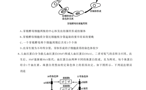 山东省名校联盟2025-2026学年高三上学期11月期中考试生物试题_251112山东省名校联盟2025-2026学年高三上学期11月期中（济南淄博期中）（全科）