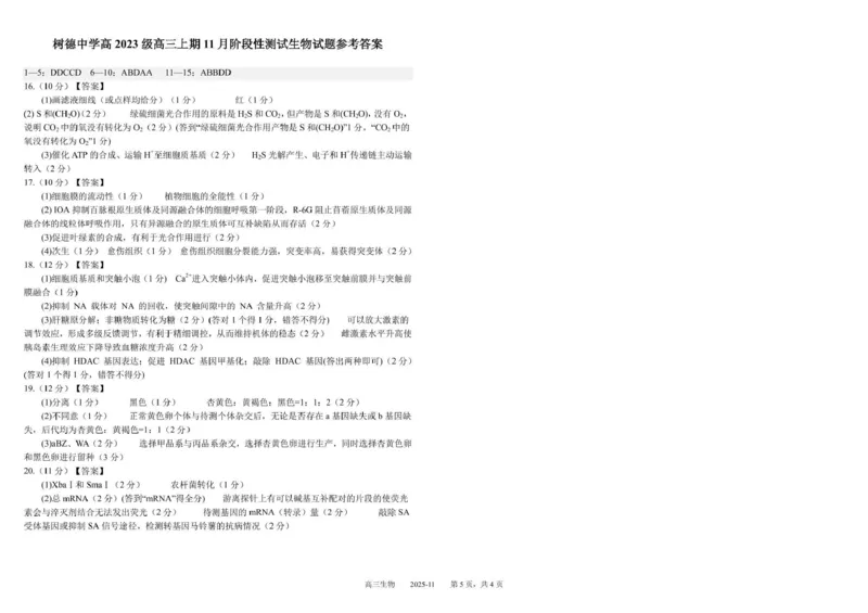 树德中学高2023级高三上学期11月阶段测试生物答案_251125四川省成都市树德中学高2023级高三上学期11月阶段测试（全科）