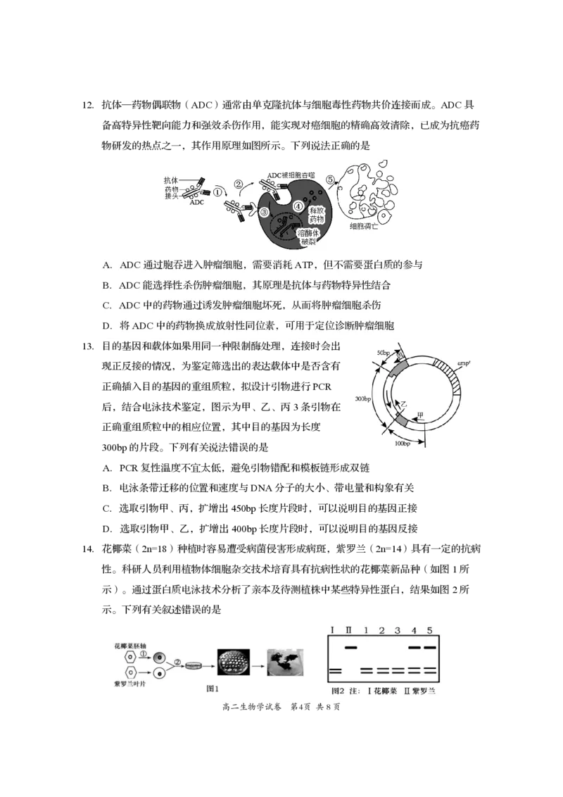 四川省资阳市2024-2025学年高二下学期期末质量监测生物+答案_2025年7月_250715四川省资阳市2024-2025学年高二下学期期末质量监测（全科）