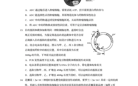 四川省资阳市2024-2025学年高二下学期期末质量监测生物+答案_2025年7月_250715四川省资阳市2024-2025学年高二下学期期末质量监测（全科）