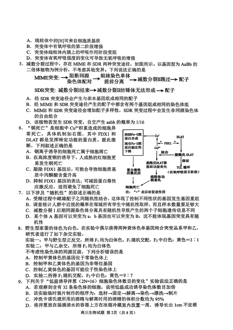 生物试卷_251113山东省聊城市2025-2026学年度第一学期期中教学质量检测（全科）