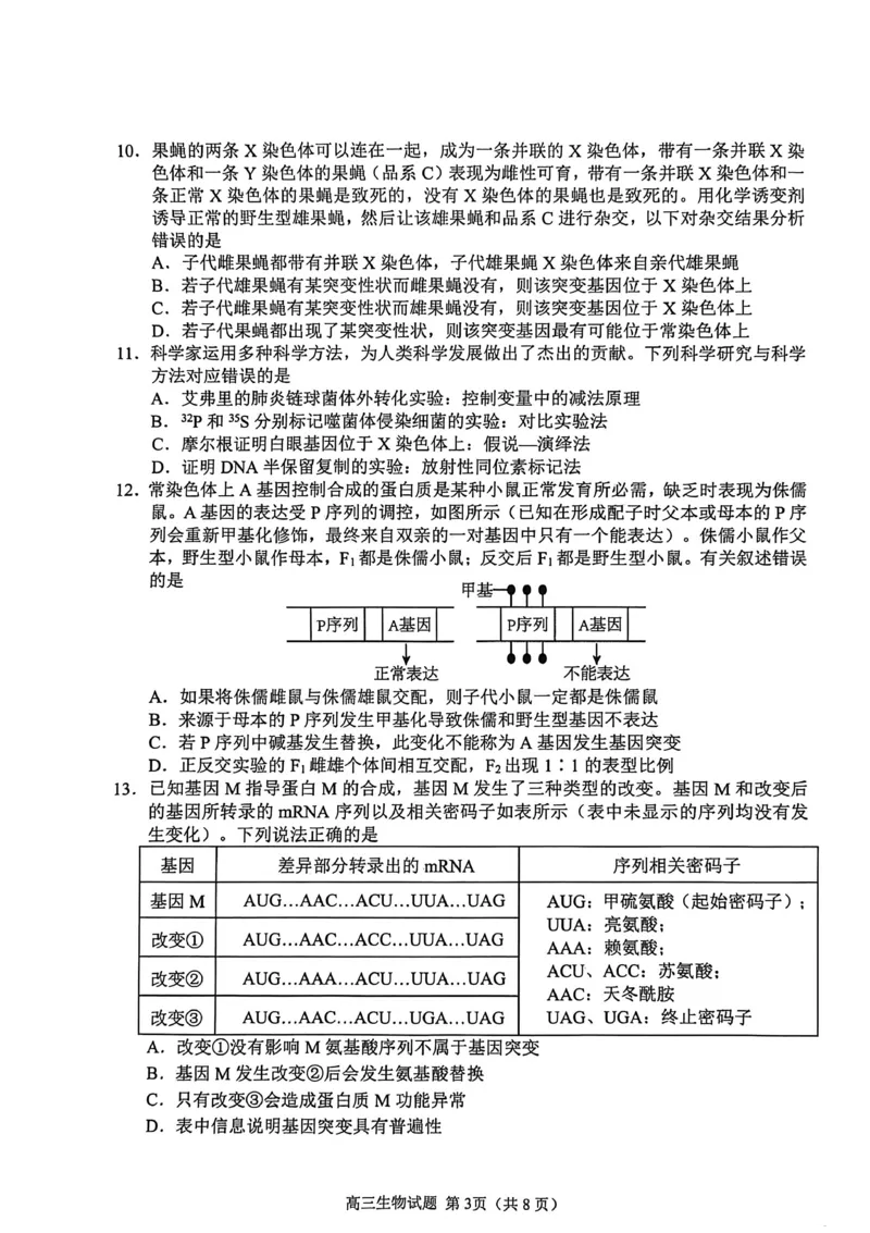生物试卷_251113山东省聊城市2025-2026学年度第一学期期中教学质量检测（全科）
