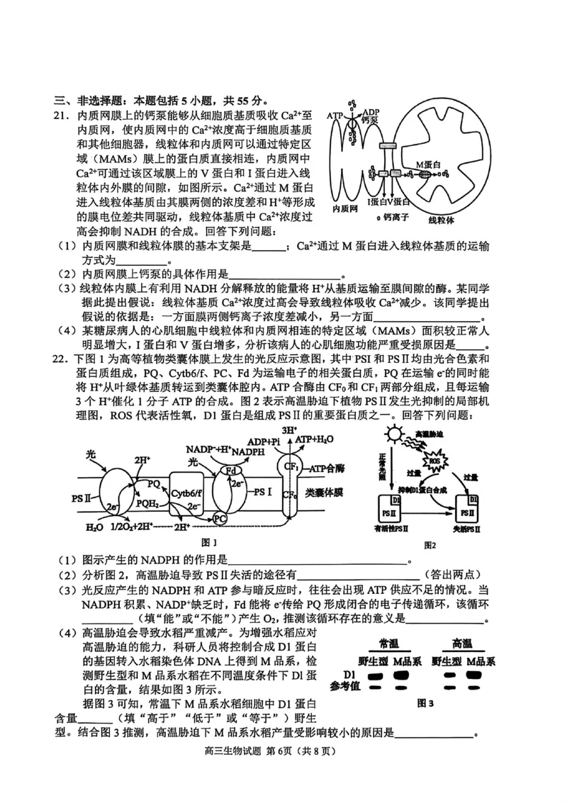 生物试卷_251113山东省聊城市2025-2026学年度第一学期期中教学质量检测（全科）
