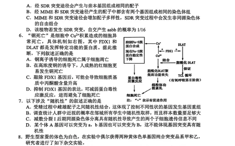 生物试卷_251113山东省聊城市2025-2026学年度第一学期期中教学质量检测（全科）