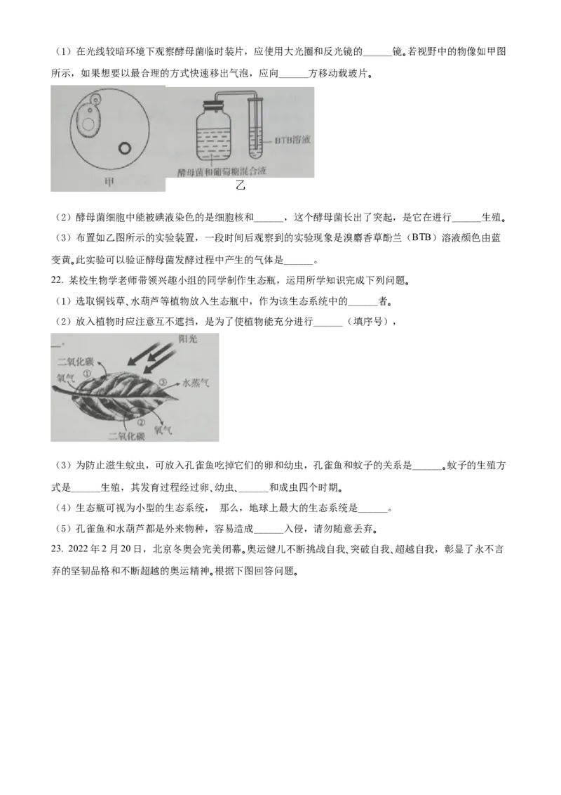 精品解析：2022年吉林省大安市中考生物真题（原卷版）_中考真题_8.生物中考真题2015-2024年_2022年全国中考生物114份14