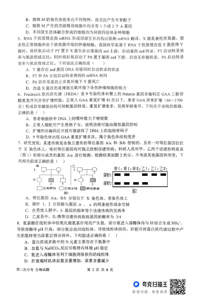 南阳市第一中学校2025-2026学年高三上学期第二次月考生物_2025年12月_251208河南省南阳市第一中学校2025-2026学年高三上学期第二次月考（全科)