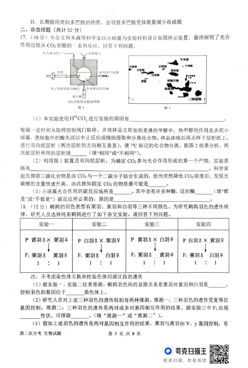 南阳市第一中学校2025-2026学年高三上学期第二次月考生物_2025年12月_251208河南省南阳市第一中学校2025-2026学年高三上学期第二次月考（全科)