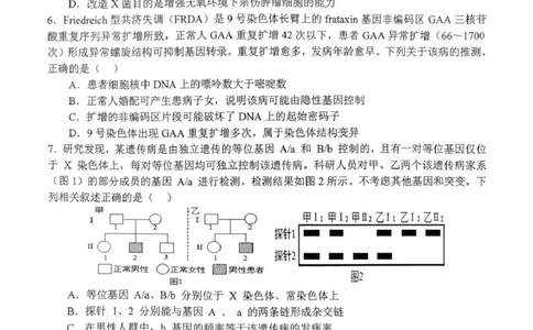 南阳市第一中学校2025-2026学年高三上学期第二次月考生物_2025年12月_251208河南省南阳市第一中学校2025-2026学年高三上学期第二次月考（全科)