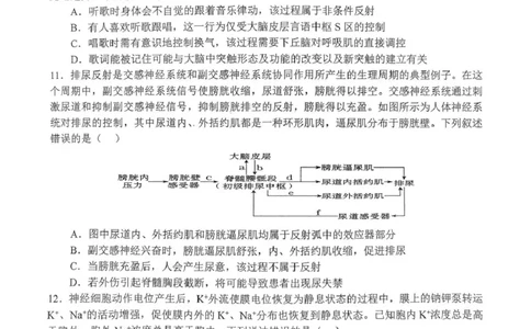 南阳市第一中学校2025-2026学年高三上学期第二次月考生物_2025年12月_251208河南省南阳市第一中学校2025-2026学年高三上学期第二次月考（全科)