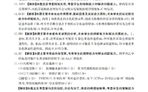 湖南省2026届高三上学期11月联考（26-87C）生物答案_2025年12月_251204金太阳&middot;湖南省2026届高三上学期11月联考（26-87C）（全科）