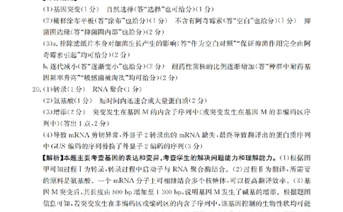 湖南省2026届高三上学期11月联考（26-87C）生物答案_2025年12月_251204金太阳&middot;湖南省2026届高三上学期11月联考（26-87C）（全科）