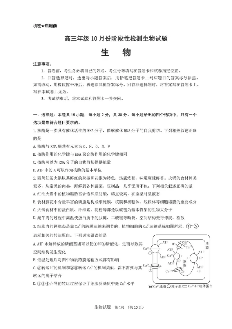 山东省济南市山东师范大学附属中学2025-2026学年高三上学期10月阶段性检测生物试题（含答案）_251102山东师范大学附属中学2026届高三上学期10月份阶段性检测（全科）