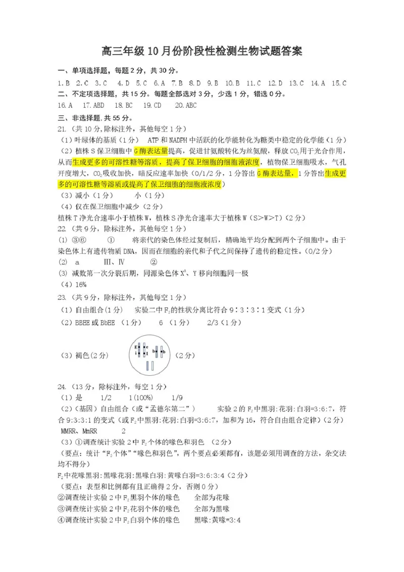 山东省济南市山东师范大学附属中学2025-2026学年高三上学期10月阶段性检测生物试题（含答案）_251102山东师范大学附属中学2026届高三上学期10月份阶段性检测（全科）