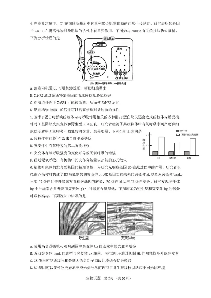 山东省济南市山东师范大学附属中学2025-2026学年高三上学期10月阶段性检测生物试题（含答案）_251102山东师范大学附属中学2026届高三上学期10月份阶段性检测（全科）