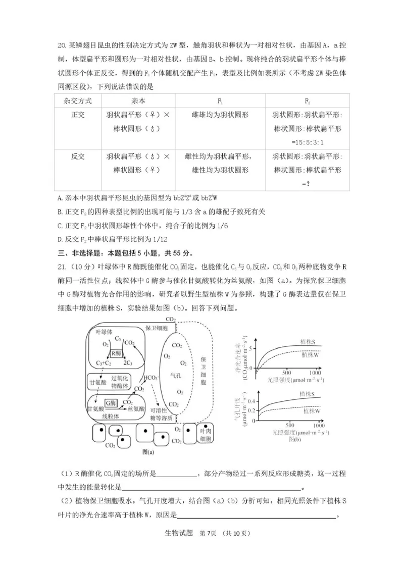 山东省济南市山东师范大学附属中学2025-2026学年高三上学期10月阶段性检测生物试题（含答案）_251102山东师范大学附属中学2026届高三上学期10月份阶段性检测（全科）