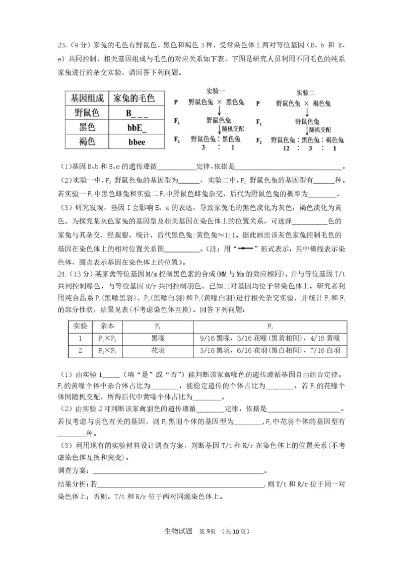山东省济南市山东师范大学附属中学2025-2026学年高三上学期10月阶段性检测生物试题（含答案）_251102山东师范大学附属中学2026届高三上学期10月份阶段性检测（全科）
