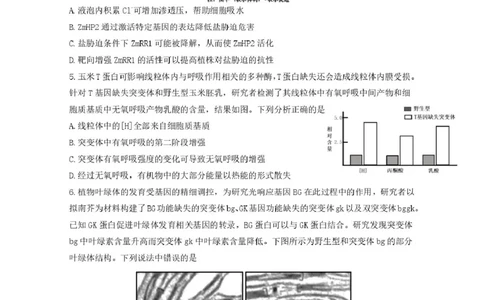 山东省济南市山东师范大学附属中学2025-2026学年高三上学期10月阶段性检测生物试题（含答案）_251102山东师范大学附属中学2026届高三上学期10月份阶段性检测（全科）