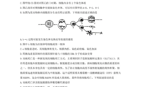 山东省济南市山东师范大学附属中学2025-2026学年高三上学期10月阶段性检测生物试题（含答案）_251102山东师范大学附属中学2026届高三上学期10月份阶段性检测（全科）