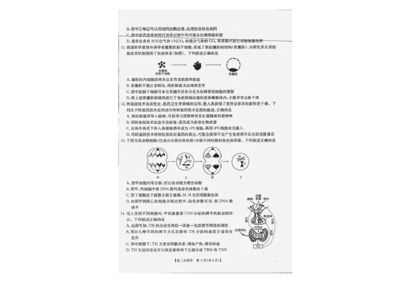 广西部分学校2024-2025学年高二下学期6月联合摸底考试生物试卷（含答案）_2025年6月_250616广西金太阳2024-2025学年高二下学期6月联合摸底考试(1)