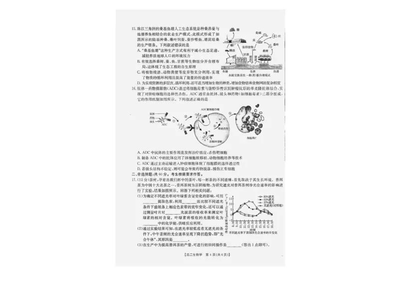 广西部分学校2024-2025学年高二下学期6月联合摸底考试生物试卷（含答案）_2025年6月_250616广西金太阳2024-2025学年高二下学期6月联合摸底考试(1)