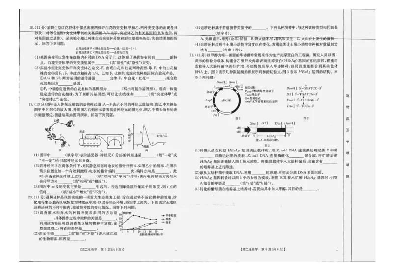 广西部分学校2024-2025学年高二下学期6月联合摸底考试生物试卷（含答案）_2025年6月_250616广西金太阳2024-2025学年高二下学期6月联合摸底考试(1)