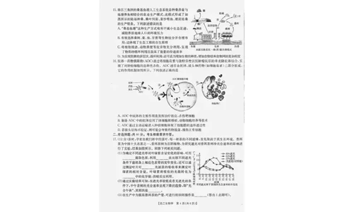 广西部分学校2024-2025学年高二下学期6月联合摸底考试生物试卷（含答案）_2025年6月_250616广西金太阳2024-2025学年高二下学期6月联合摸底考试(1)
