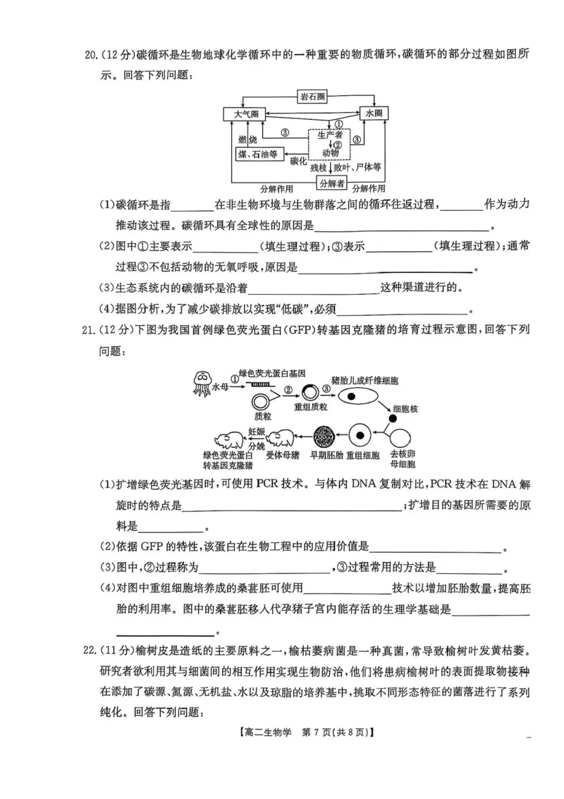 河北省邯郸市2024-2025学年高二下学期期末调研生物试卷（含答案）_2025年6月_250630河北省邯郸市2024-2025学年高二下学期期末调研考试（全科）