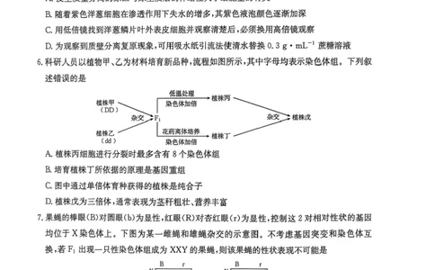 河北省邯郸市2024-2025学年高二下学期期末调研生物试卷（含答案）_2025年6月_250630河北省邯郸市2024-2025学年高二下学期期末调研考试（全科）