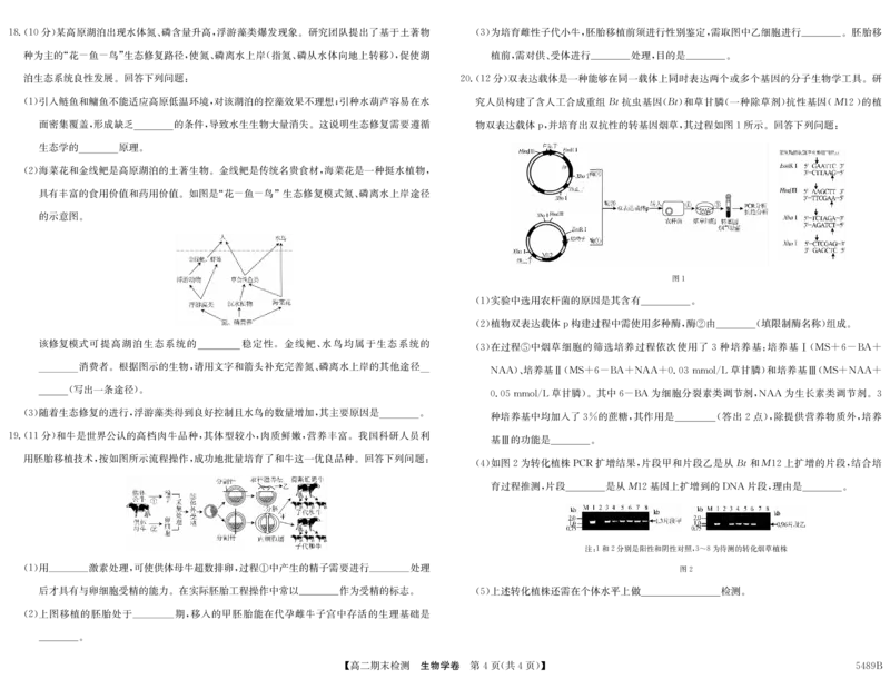 5489B生物学_2025年7月_250705安徽省县中联盟2024-2025学年第二学期高二期末检测（全科）