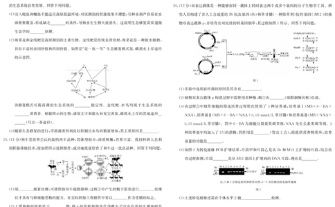 5489B生物学_2025年7月_250705安徽省县中联盟2024-2025学年第二学期高二期末检测（全科）