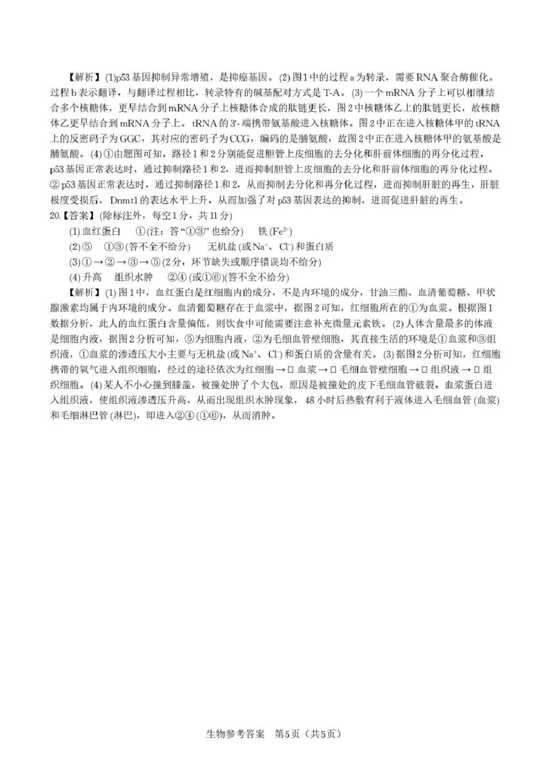 &ldquo;皖江名校联盟&rdquo;2025-2026学年高三质量检测生物答案_2025年12月_251220安徽省&ldquo;皖江名校联盟&rdquo;2025-2026学年高三质量检测（全科）