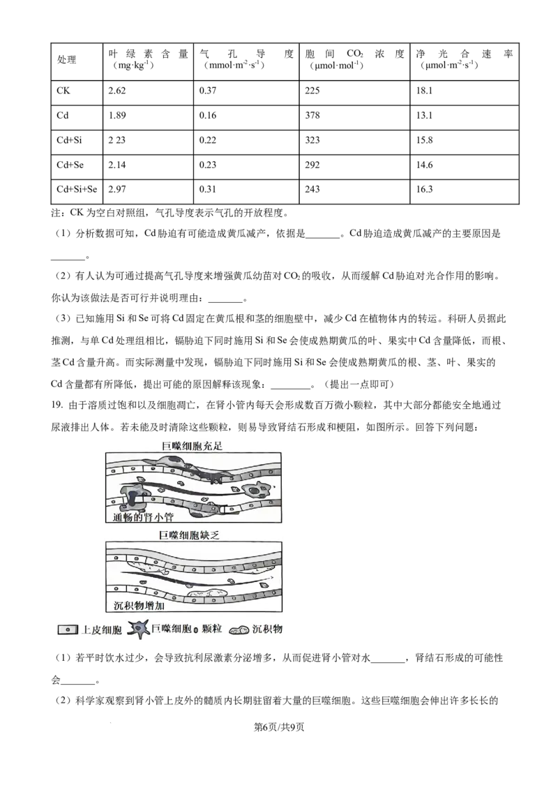 精品解析：广东省江门市2025-2026学年高三上学期调研测试生物试题A（原卷版）_251109广东省江门市2025-2026学年高三上学期11月调研测试（全科）