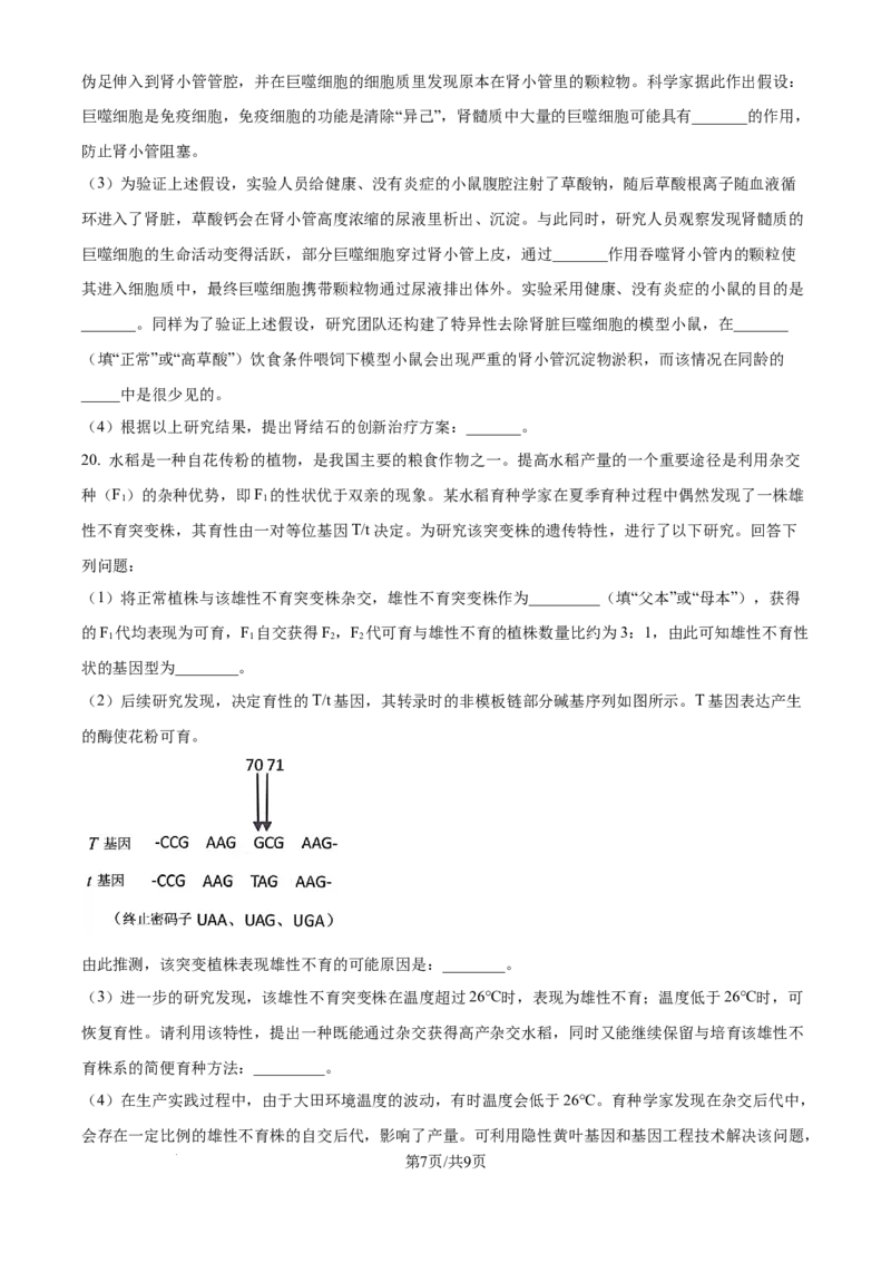 精品解析：广东省江门市2025-2026学年高三上学期调研测试生物试题A（原卷版）_251109广东省江门市2025-2026学年高三上学期11月调研测试（全科）